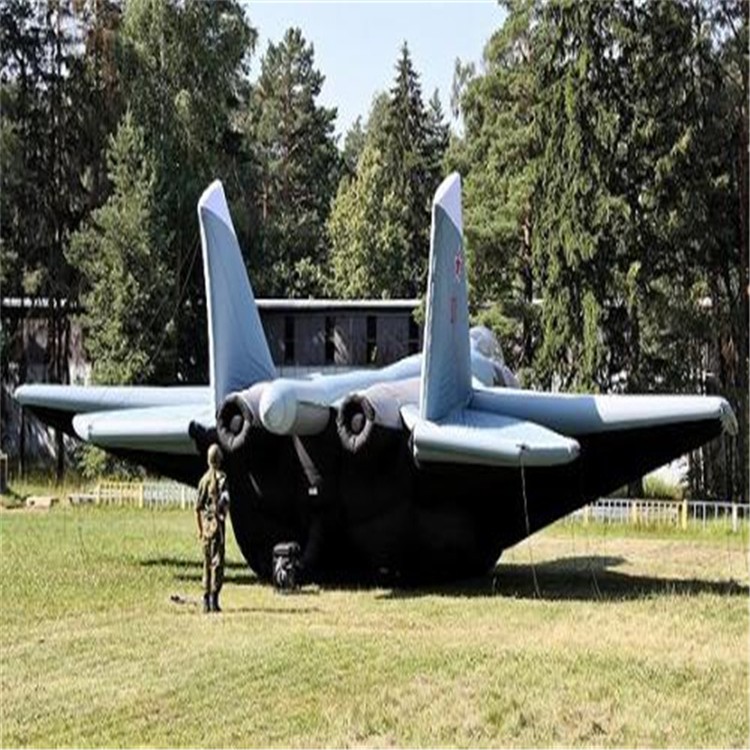 滁州充气飞机模型